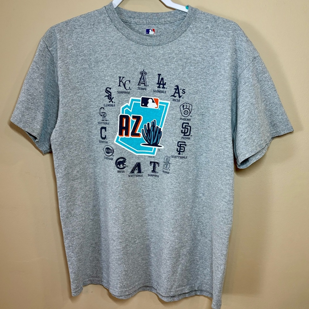 MLB Men’s Arizona Cactus League Spring Training Duck Pond Heather Gray Tee L EUC